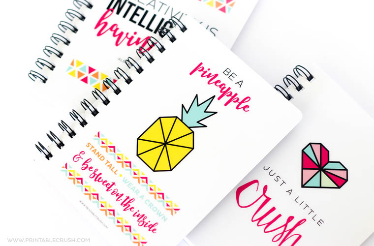 The secrets to generating passive income from a printables-based blog - an inspiring expert interview with Creative Entrepreneur, Erin Williams of Printable Crush // From MichelleHickey.Design