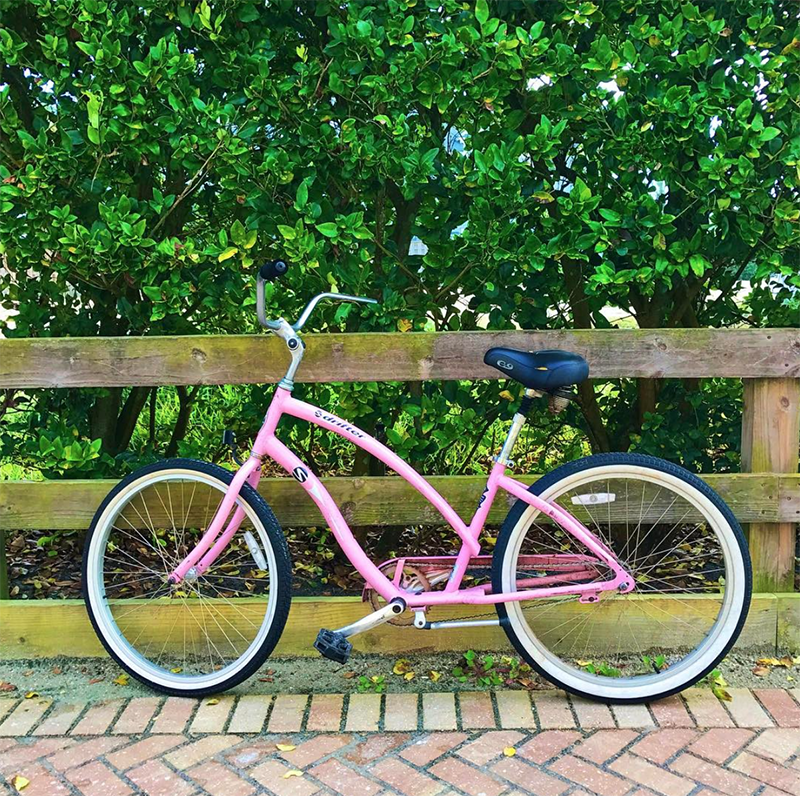 Creating Unstoppable Momentum with One Step // Do you ever wonder what your fellow creative entrepreneurs are up to? In between the big wins, product launches, and collaborations are the small steps (some forward, some backward) that lead to those turning points. Here's a transparent account of a week in the life of a gal in passionate pursuit of business growth, personal development and those magical milestones. // From MichelleHickey.Design