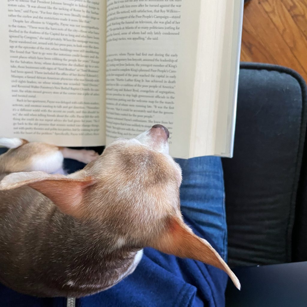 february-book-review-from-michelle-hickey February Book Roundup by Michelle Hickey
